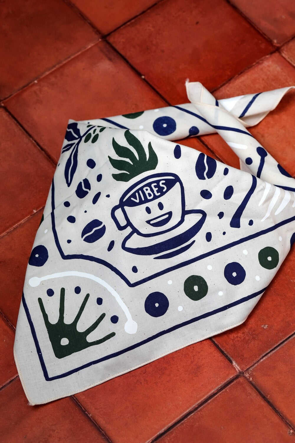 The Salty Bandana